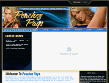 Tablet Screenshot of peachezpays.com